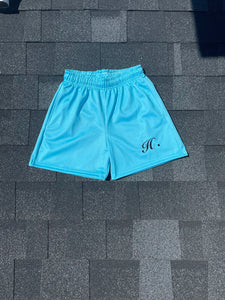 Tiffany Mesh Shorts